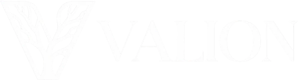 VALION Logo