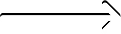 Seta